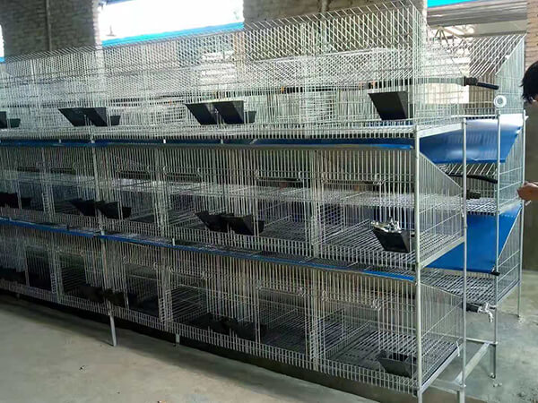 meat rabbit cages for sale