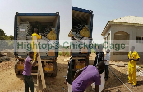 Chicken Cage Poultry Farming Project in Nigeria