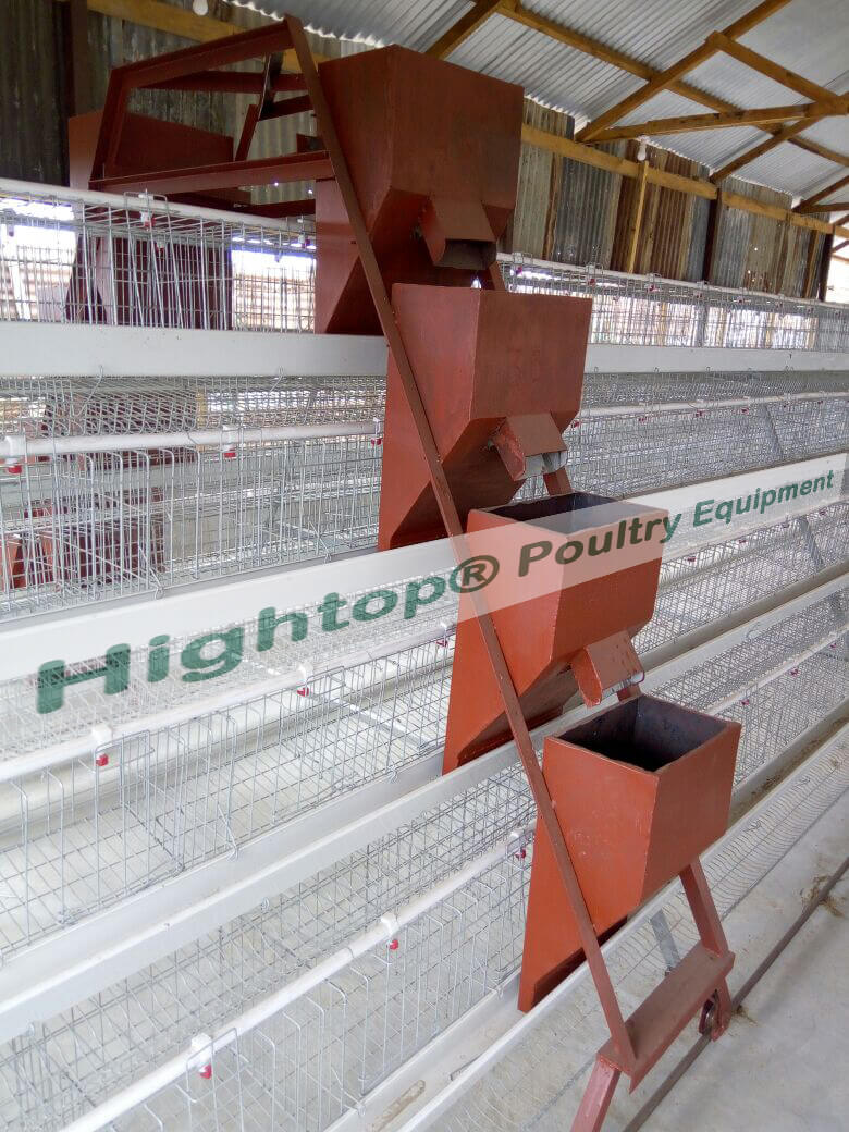 Chicken farm project in Uganda