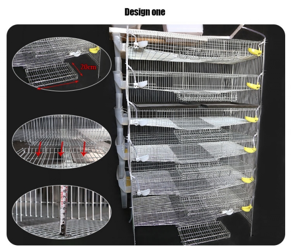 Commercial Quail Cages for Egg Production