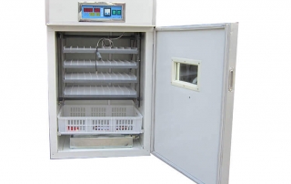 Chicken Egg Incubator