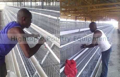 Poultry Farm Battery Cage Project in Zambia