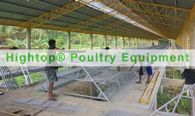 chicken farm in Philippines