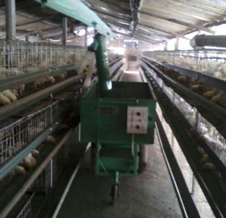 Semi automatic Poultry Feeding Machine