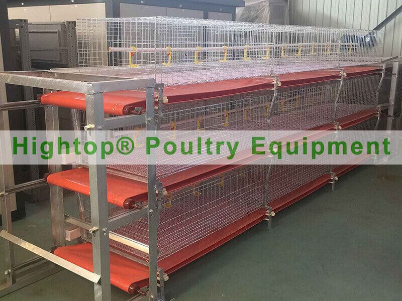 cage for broilers