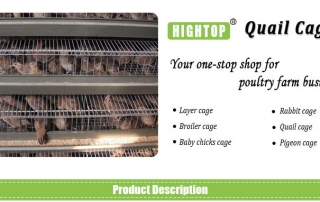 cheap quail battery cages