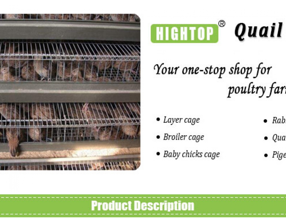 Commercial Rabbit Cages for Rabbit Farming