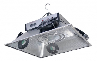 Poultry Brooder, Heat Light, Infrared Heat Lamp, Diesel Heater