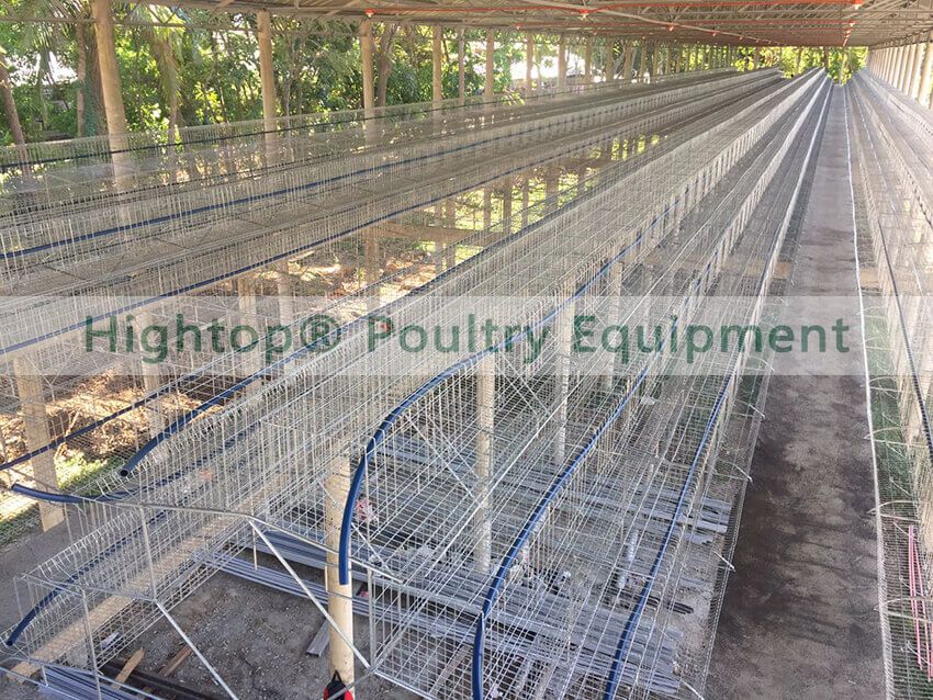 chicken house finished in the Philippines