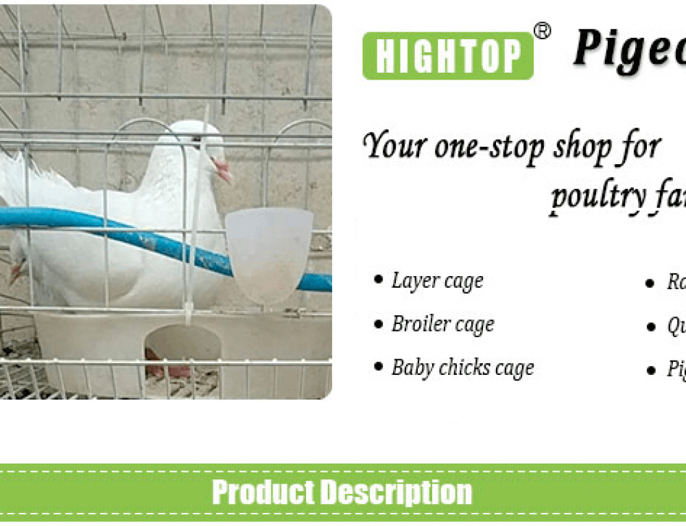 Commercial Rabbit Cages for Rabbit Farming