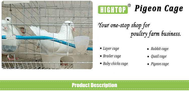 dove cage Pigeon Breeding Cages