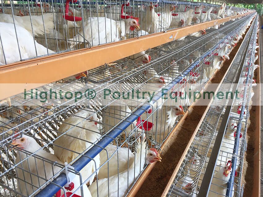 hightop battery cage in the Philippines