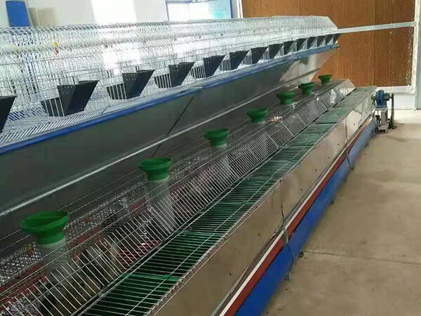 commercial rabbit breeding cages