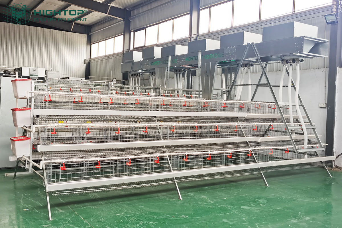 battery cage system layer chicken cage