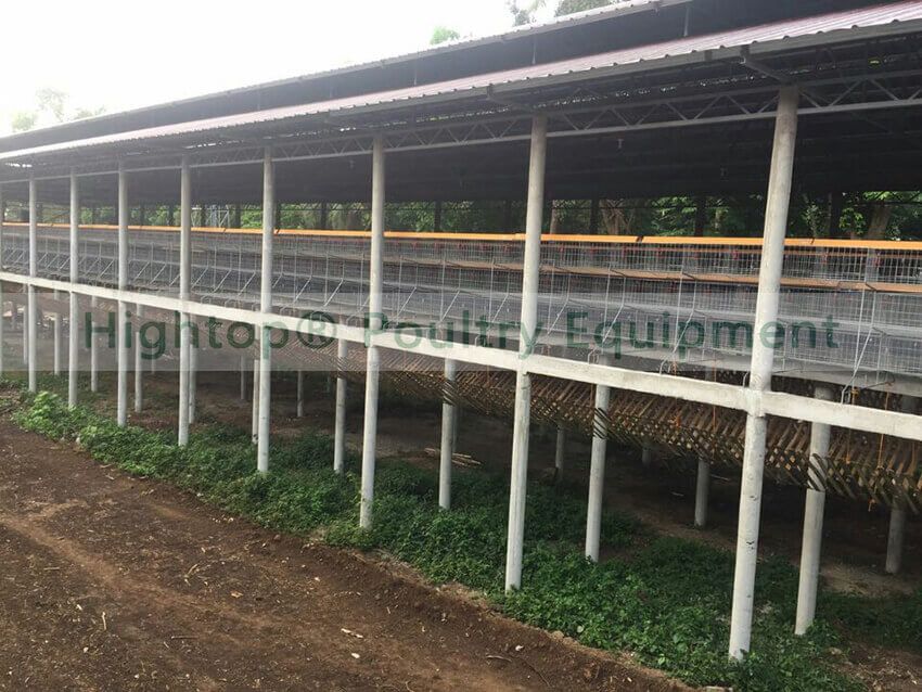 poultry farm building in the Philippines