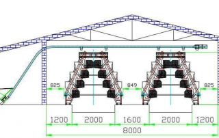 poultry farm design