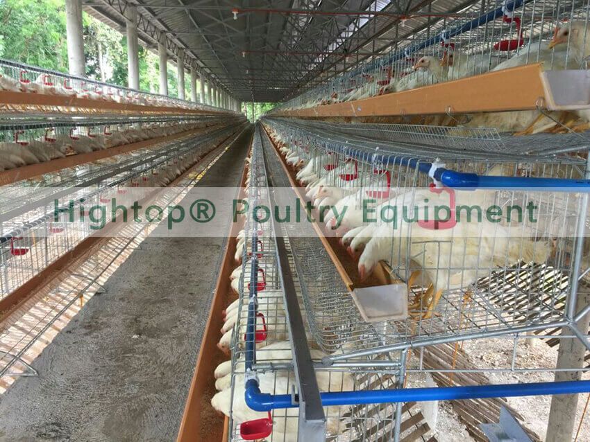 poultry house complete in the Philippines