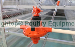 automatic & adjusting poultry water pressure regulator