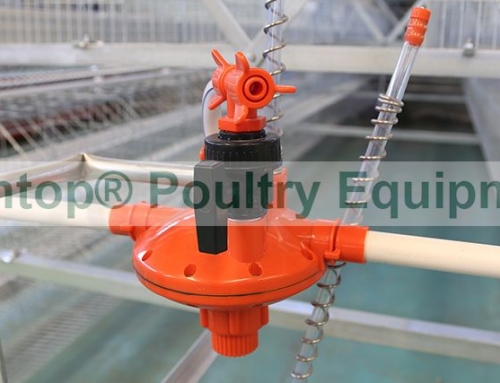 Automatic & Adjusting Poultry Water Pressure Regulator