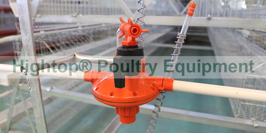 Automatic & Adjusting Poultry Water Pressure Regulator