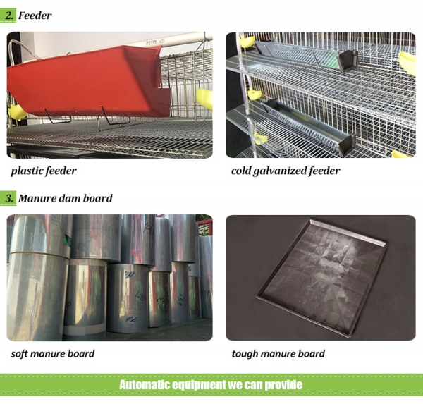 Commercial Quail Cages for Egg Production