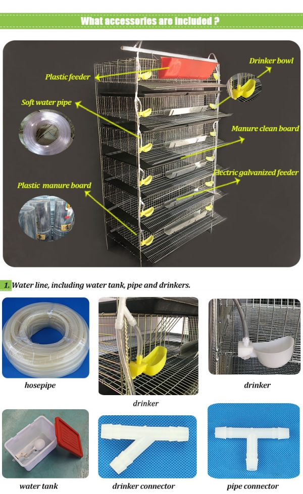 Commercial Quail Cages for Egg Production